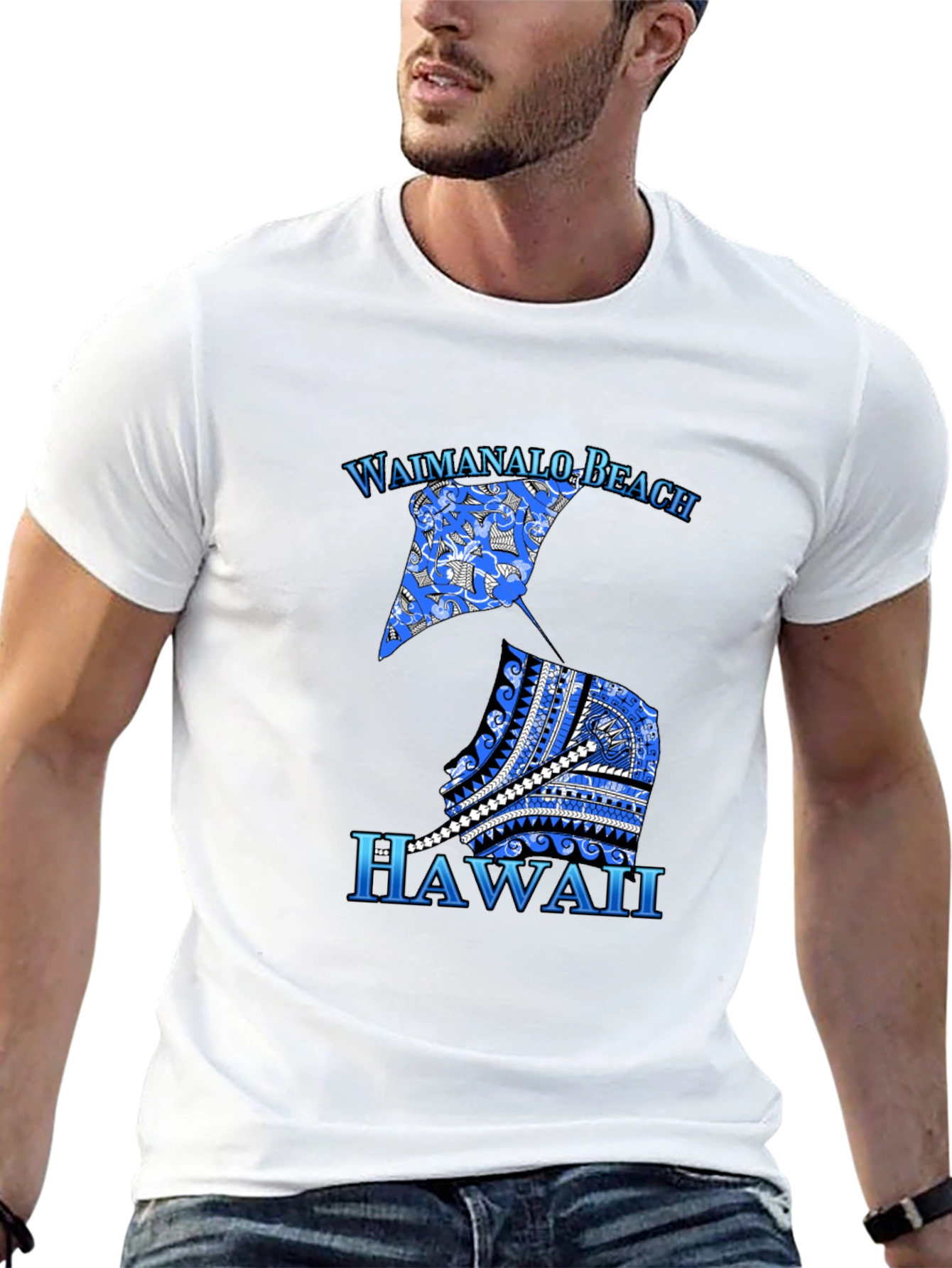 Camiseta Hombre Negra Diseño Waimanalo Beach Hawaii